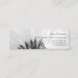 Black and White Gerber Daisy Student