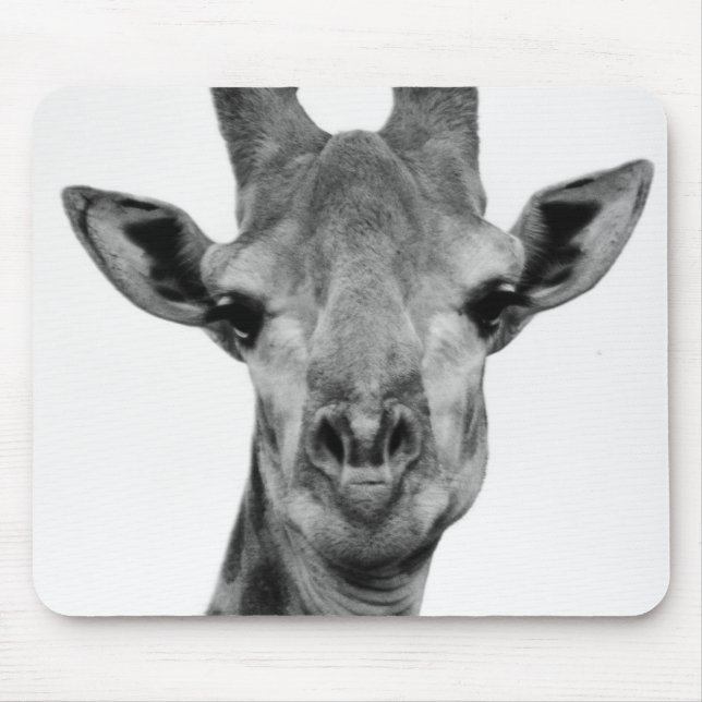 Black and White Giraffe Photograph Musmatta (Framsidan)