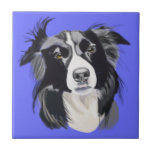 Black and White Gräns Collie Kakelplatta<br><div class="desc">Gräns Collies är fantastisk, de är tillgivenhet, lätta för tåg och angelägna om att vara snälla. De passar bra in i familjelivet och gör vackra husdjur. Det här är mitt nya, nya teckning av min Gräns-kollie-zigenare. Tyvärr är hon inte längre med oss, men hon har ett speciellt ställe i mitt...</div>