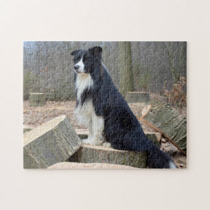 Black and White Gräns Collie Pussel