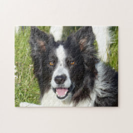 Black and White Gräns Collie Pussel