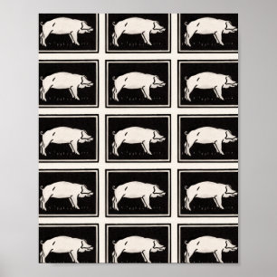 Black and White Gris av Julie de Graag Poster