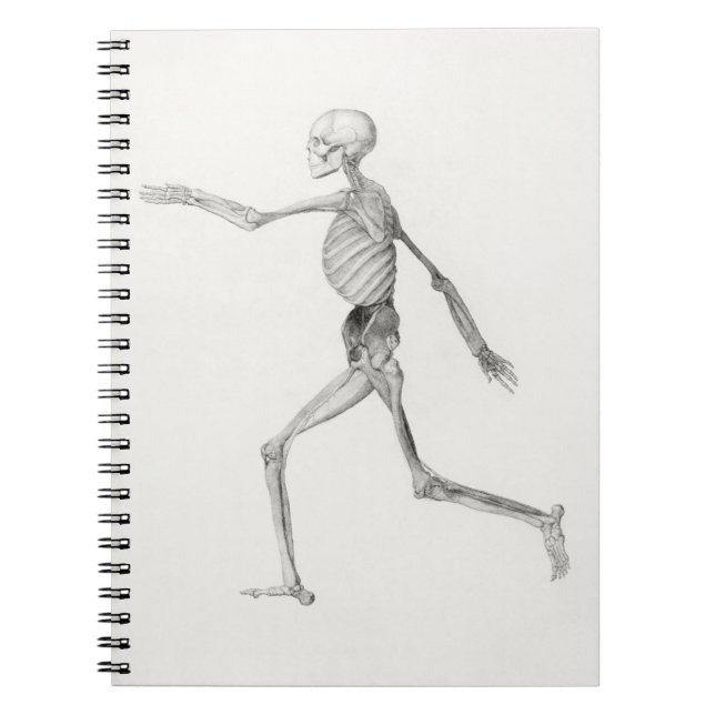 Black and White Human Walking Skeleton Anteckningsbok (Framsidan)