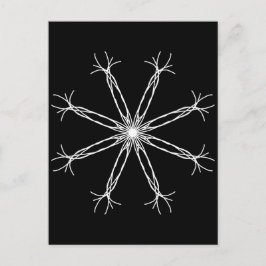 Black and White Kaleidoscope Star Vykort