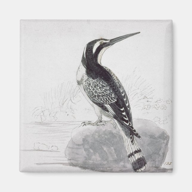 Black and White Kingfisher Magnet (Framsidan)