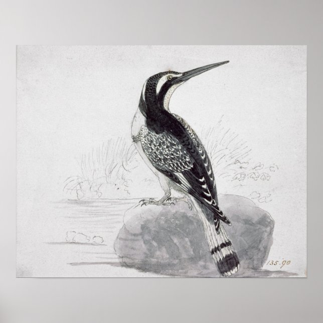 Black and White Kingfisher Poster (Framsidan)