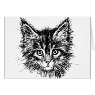Black and White Kitten Ansikte Blank Inside Hälsningskort