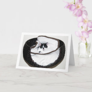 Black and White Kitten i Bed Kort