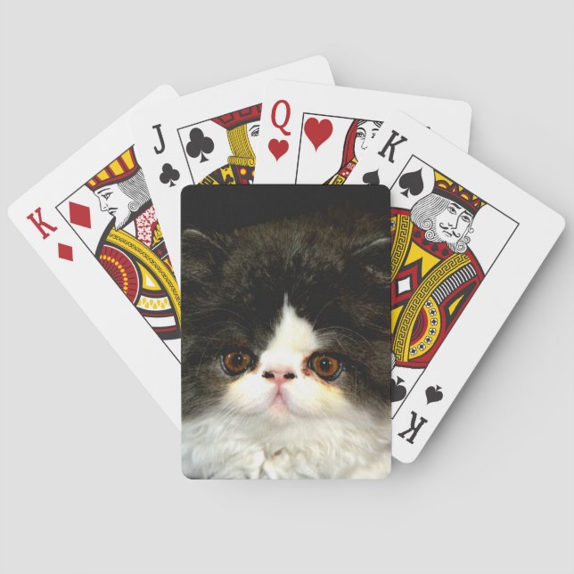 Black and White Kitten Kortlek (Baksidan)