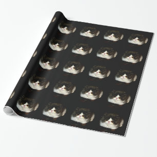 Black and White Kitten Presentpapper