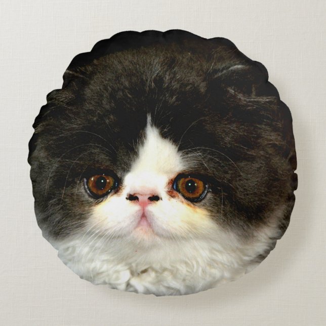 Black and White Kitten Rund Kudde (Framsidan)