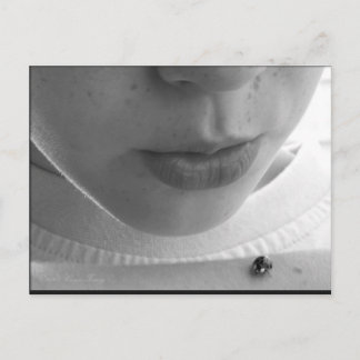 Black and White Ladybug Vykort