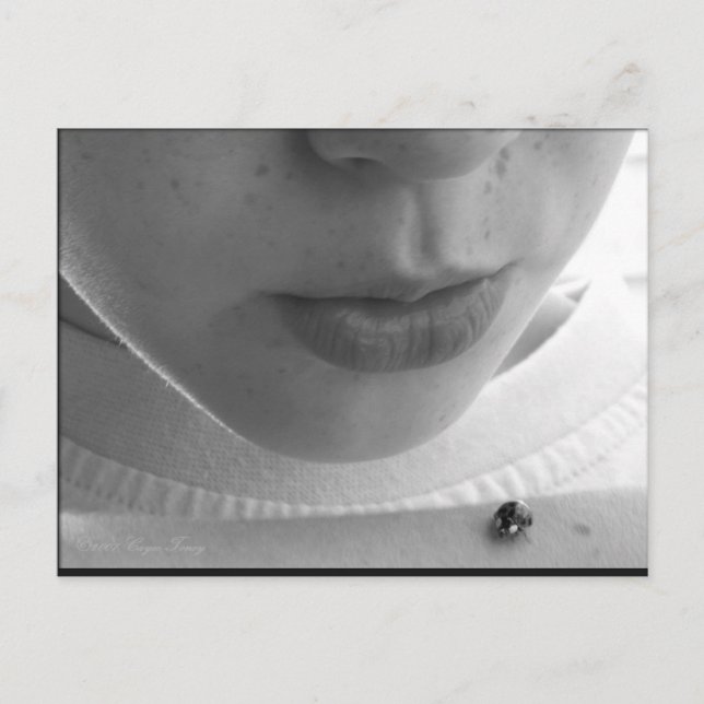 Black and White Ladybug Vykort (Framsida)