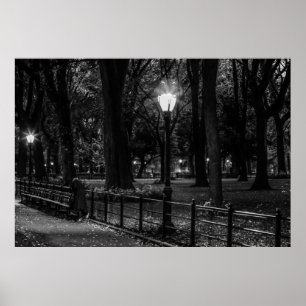 Black and White Landcape Photo of Central Park Poster