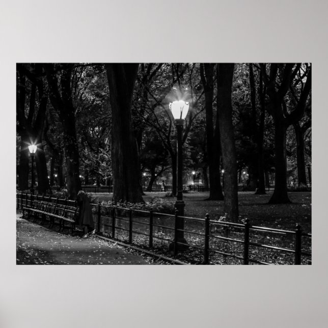 Black and White Landcape Photo of Central Park Poster (Framsidan)