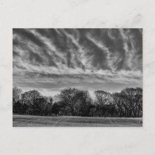 Black and White Landcape Photo of Central Park Vykort