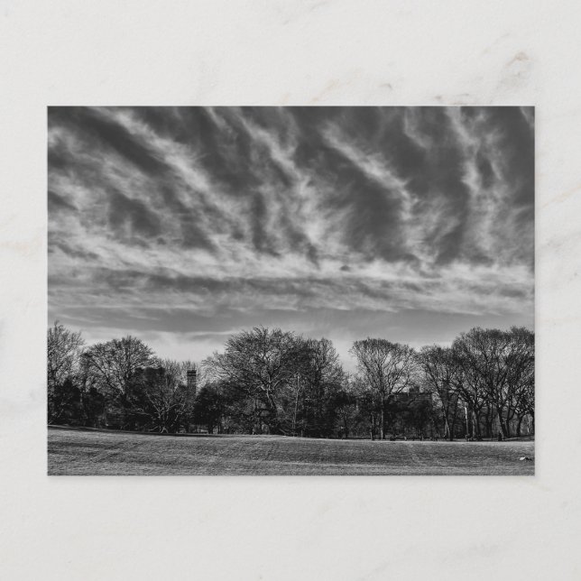 Black and White Landcape Photo of Central Park Vykort (Framsida)