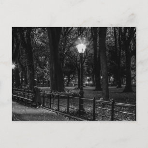 Black and White Landcape Photo of Central Park Vykort