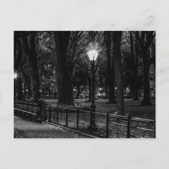 Black and White Landcape Photo of Central Park Vykort (Framsida)
