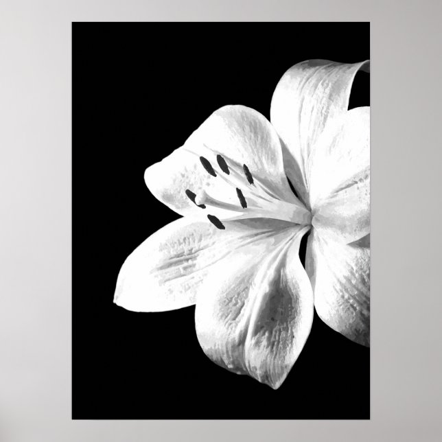 Black and White Lily Poster (Framsidan)