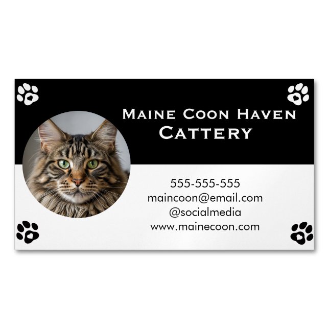 Black and White Maine Coon Customizable  Magnetiska Visitkort (Framsida)
