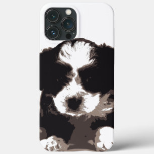 Black and White Maltese Puppy Hund