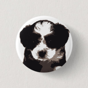 Black and White Maltese Puppy Hund Knapp