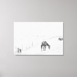 Black and White Monochrome Rural Vild Horses Canvastryck