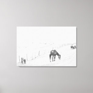 Black and White Monochrome Rural Vild Horses Canvastryck