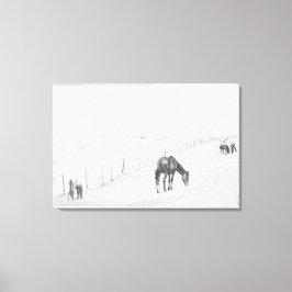 Black and White Monochrome Rural Vild Horses Canvastryck