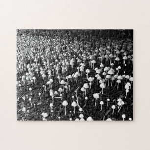 Black and White Mushroom Colony Photo Pussel
