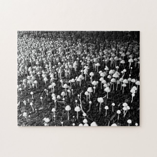 Black and White Mushroom Colony Photo Pussel (Horisontell)