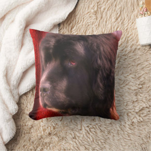 Black and White Newfoundland Hund Ansikte Kudde