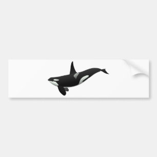 Black and White Orca Killer Whale Bildekal