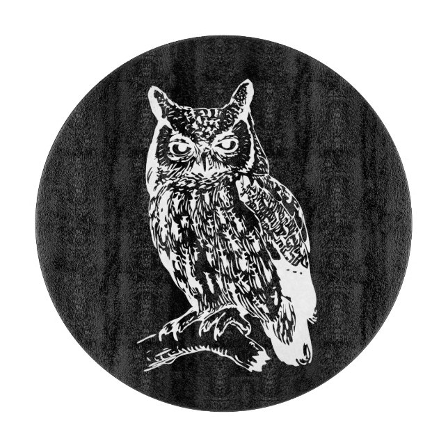Black and White Owl Art (Framsidan)