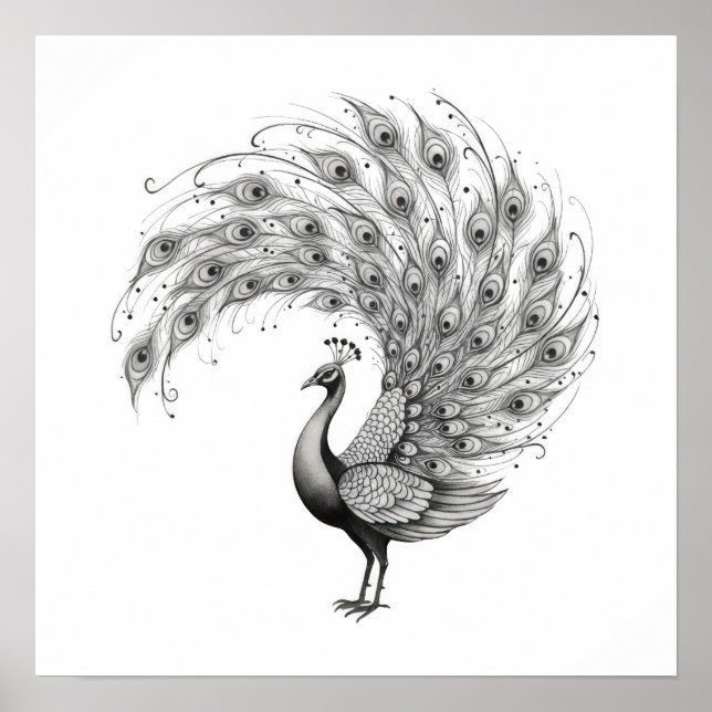 Black and White Peacock Poster (Framsidan)