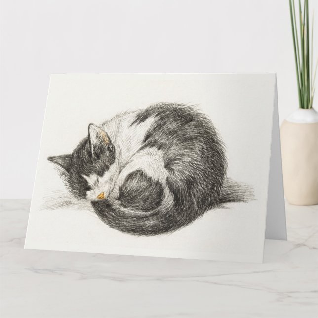 Black and white pencil drawing of a sleeping cat kort (Framsida)