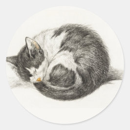 Black and white pencil drawing of a sleeping cat runt klistermärke