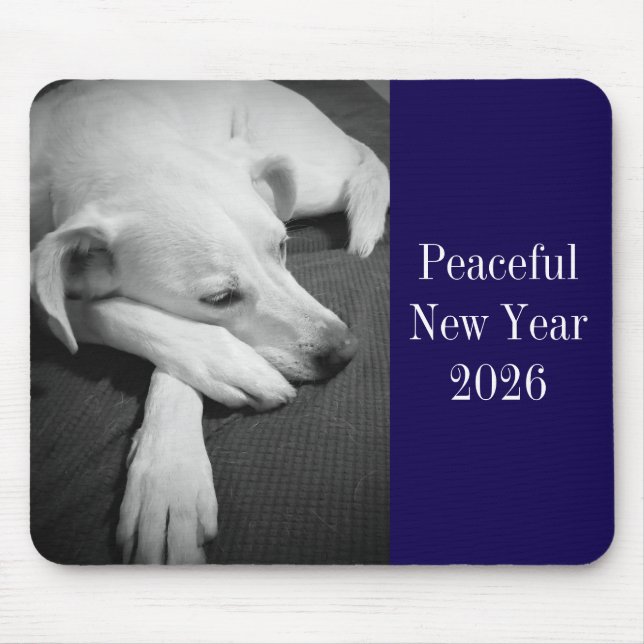 Black and White Photo of Dog Sleeping New Year Musmatta (Framsidan)