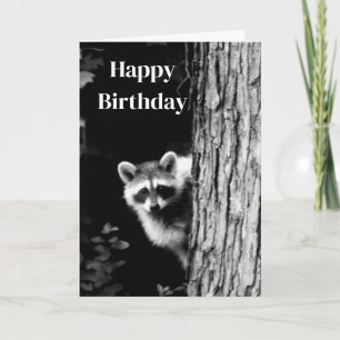 Black and White Raccoon Photo Birthday Card Kort