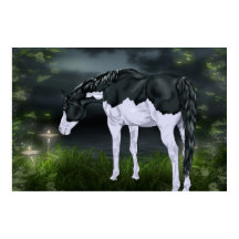 Black and White Ram Overo Paint Horse