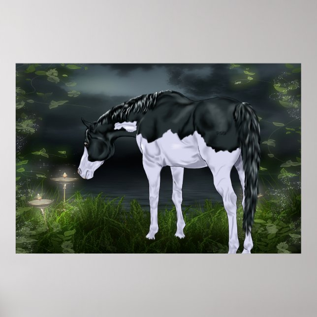 Black and White Ram Overo Paint Horse Poster (Framsidan)