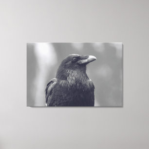 Black and White Raven Porträtt Canvastryck