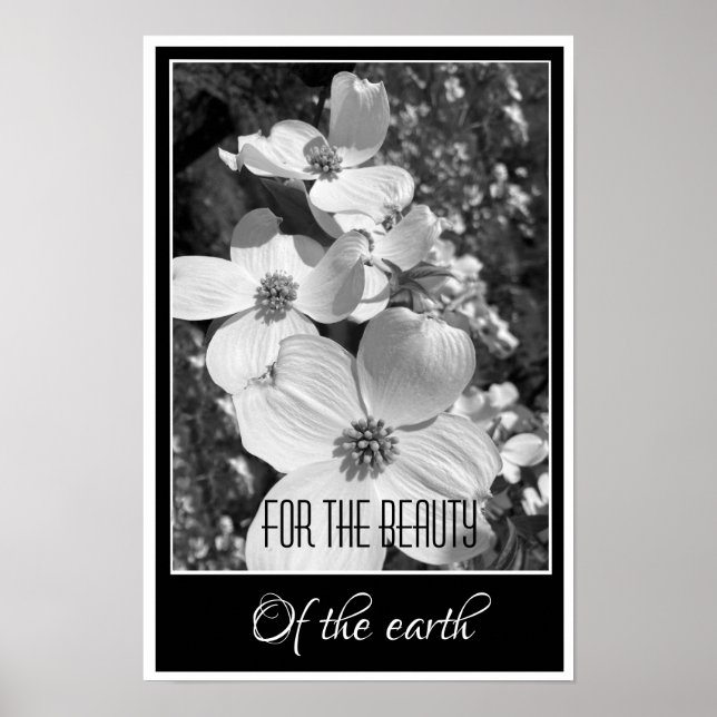 Black and White Reflections For the Beauty Poster (Framsidan)