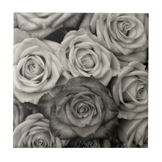 Black and White Roses Kakelplatta (Framsidan)