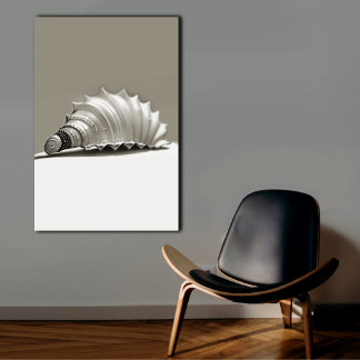 Black and White Seashell Canvas