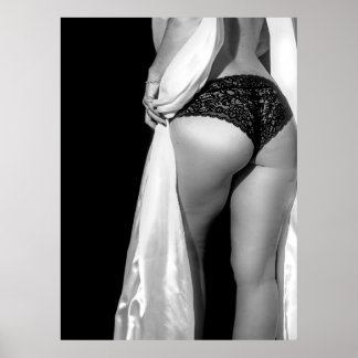 Black and white sexy lingerie model photo Poster