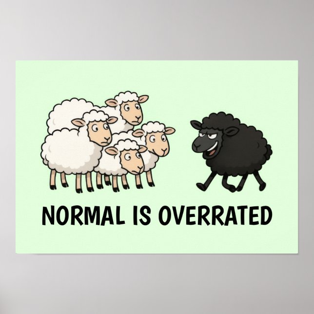 Black and White Sheep Poster (Framsidan)