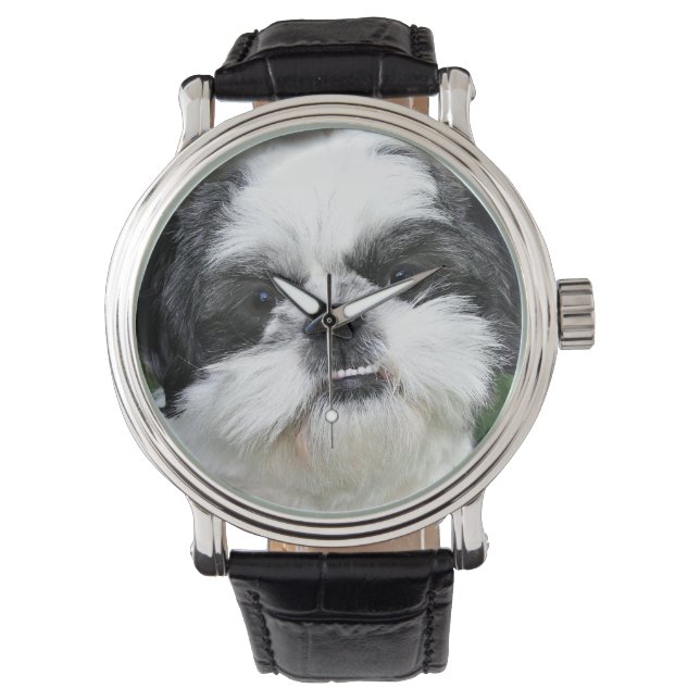 Black and white Shih Tzu Armbandsur (Framsida)