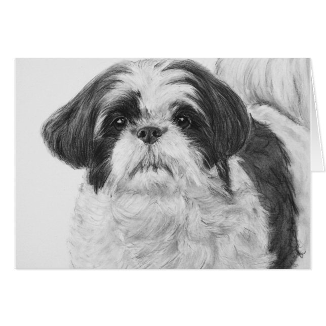 Black and White Shih Tzu Art Hälsningskort (Framsidan Horizontal)